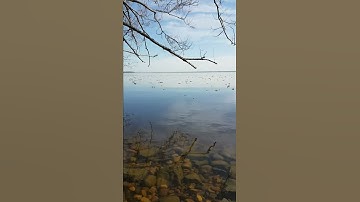Thumbnail of Eleuthera- All Life is a Song