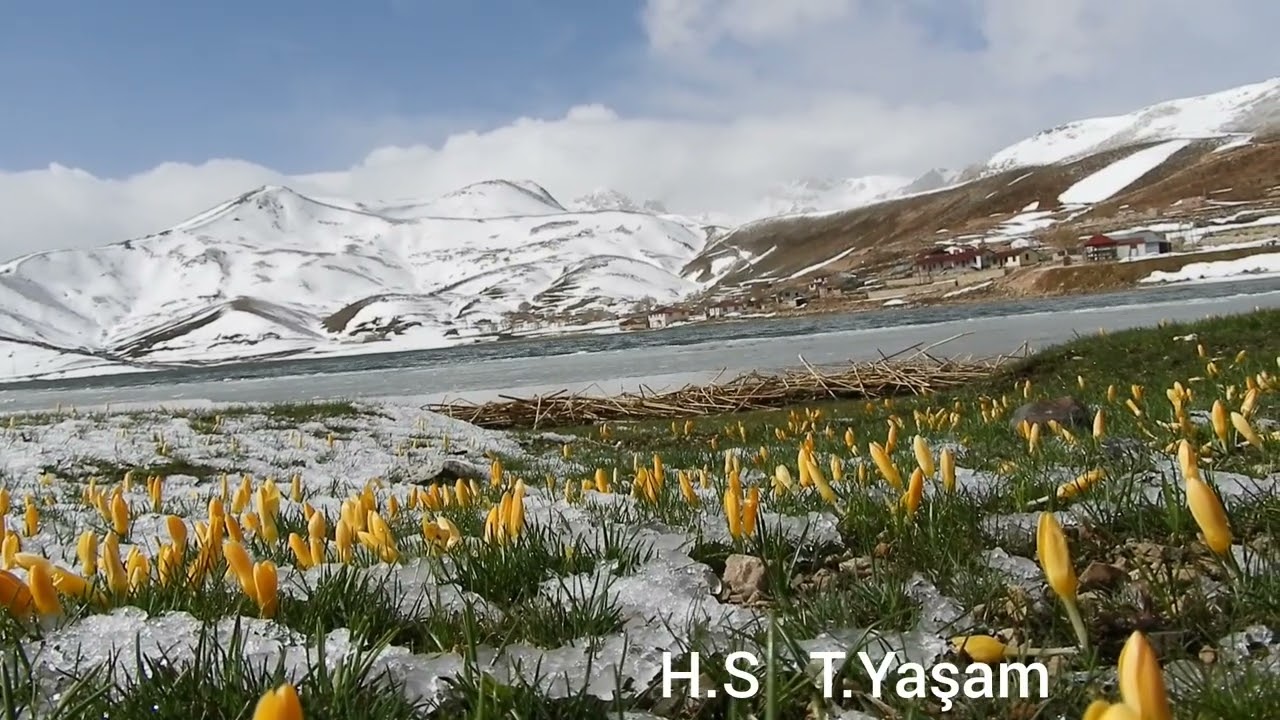 Orta Toroslardan  Geyik dağı eteklerinden