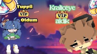 Blockstarplanet Bsp Quine Vi̇p Aldık