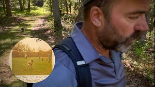 53 Years Hunting Mushrooms || Cow Pasture Field Mushrooms
