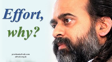 Why must you put in so much effort? || Acharya Prashant, with youth (2014)