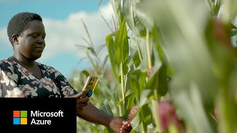 Opportunity International works to end farmer poverty in Malawi with AI