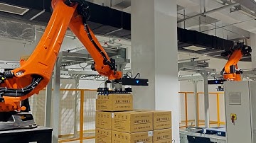 3D Vision-Guided Depalletizing of Pharmaceutical Cartons | Machine Vision | Automation | Robotics |