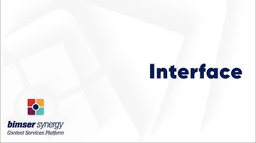 Bimser Synergy LowCode Platform - Interface
