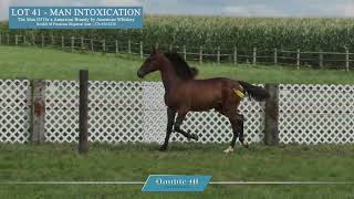 Man Intoxication. Lot 41 at the Double M Dispersal