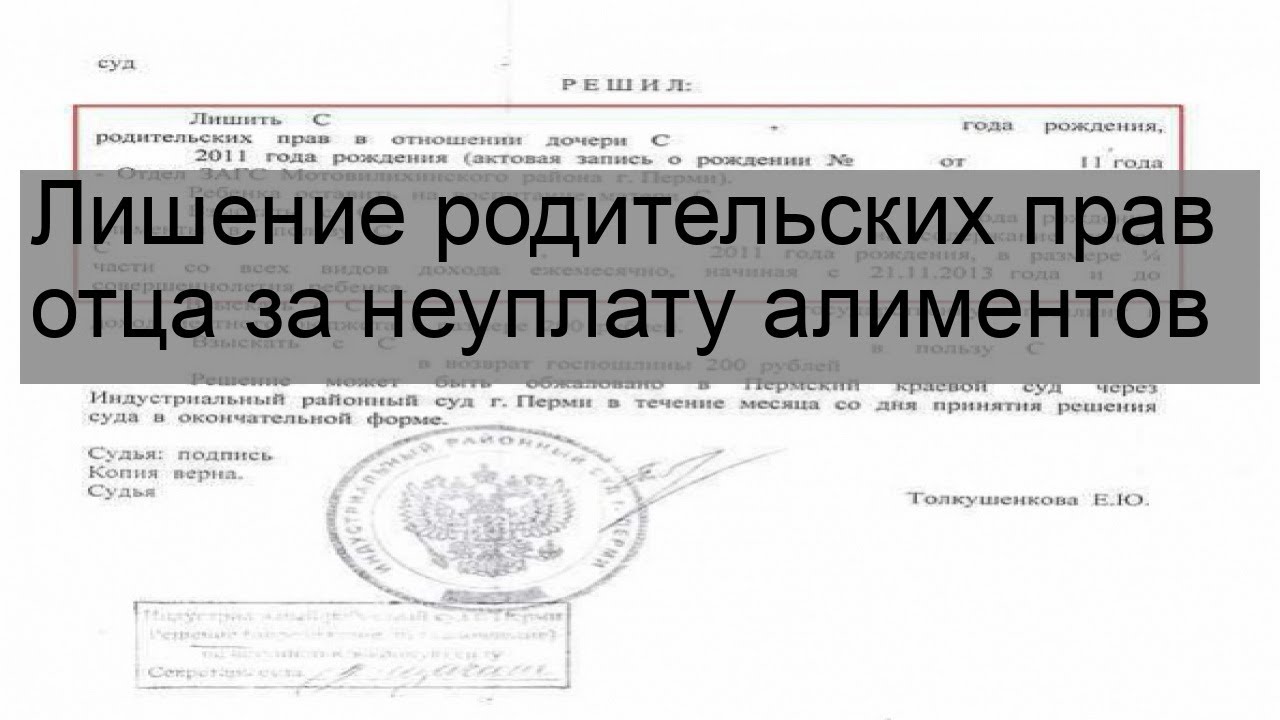 Лишение родительских прав отца за неуплату алиментов - YouTube
