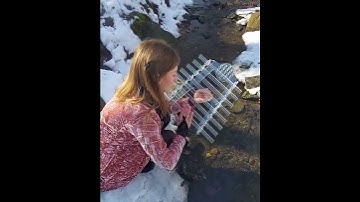 Thumbnail of Crystal Harp 432Hz Sound from the forest SacredForest