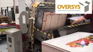 VIDEO OVERSYS U16400515 SRPACK ML 1800 PLATEN DIE CUTTER