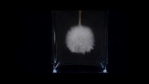 Thí nghiệm nước đóng băng sau một cái chạm nhẹ | THD Academy