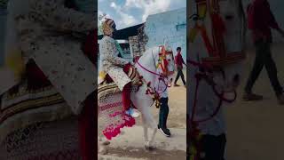 #music 👑 #horse 🐎 #sterstallio💥 #parulrathwanewtimli 👀 #ster #automobile 🦅