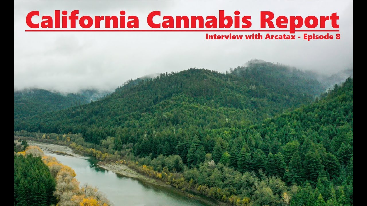 California Cannabis Report - Episode 8 - Interview with ArcataX