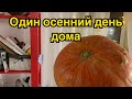 ОДИН ДЕНЬ ДОМА | Ленивые голубцы | Маруся на кухне