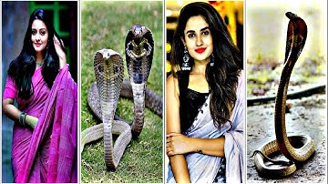 nagin song stetus🥀 efx stetus🥀 dj stetus ❤whatapp status