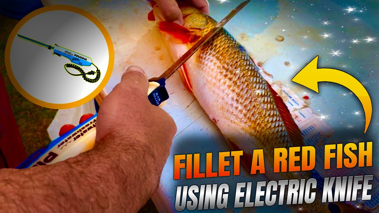 HOW TO Fillet/Clean a Redfish using an Electric Knife.