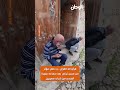 قرأوا له القرآن.. رد فعل مؤثر من مسن تركي بعد سماعه سورة الضحى من شباب مصريين