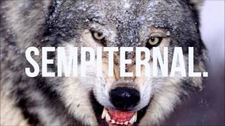 David Guetta feat SIA - She Wolf (DJ Toussels Remix) FREE Resimi