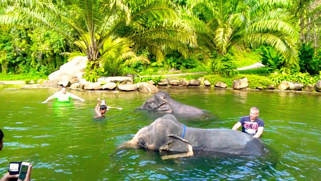 khao lak elephant tour