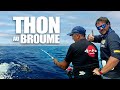 Pêche du thon rouge au broumé en Méditerranée