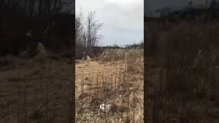 21944 Fairfax Rd , Clearwater, MN 55320