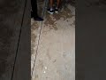 Coacuilco Hidalgo Xantolo, Banda La Reyna de Coacuilco