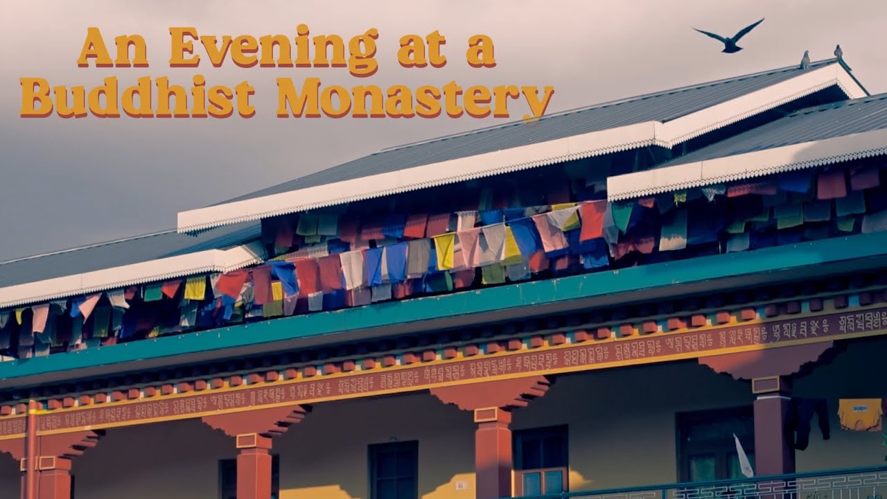 I Spent an Evening at a Buddhist Monastery to find Peace | Chokling Monastery | Bir Billing | India