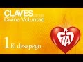 Fiat Fiat Fiat Divina Voluntad