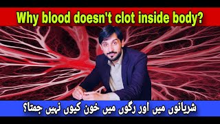 Why Does Blood Do Not Clot in The Vessels | MLT Hub with kamran