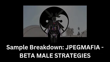 Sample Breakdown: JPEGMAFIA - BETA MALE STRATEGIES