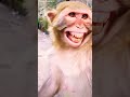 Hansta Hua Bandar ЁЯдгЁЯдгЁЯШМ Hansta Hua Bandar ЁЯдгЁЯдгЁЯШМ