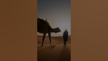 ايات قرآن كريم حالات واتس اب بصوت جميل جدآ🍁الشيخ احمد العجمي