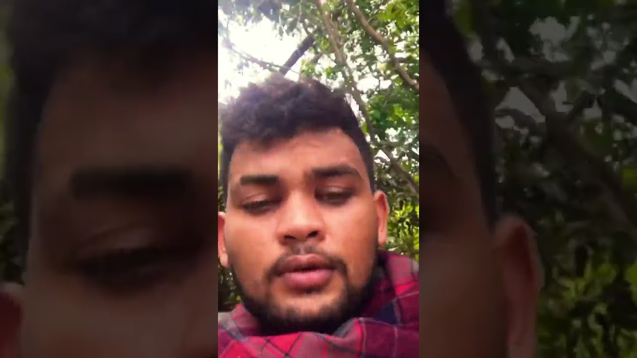 Guhana to brazil border cross USA donkey