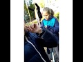 Download |Vlog|_Ждите новое видео _ |Vlog|_Ждите новое видео _