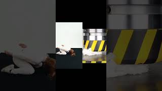 Thumbnail for Smac vs Toilet Brush #hydraulicpressgirl #shorts duet with @HydraulicPressChannel