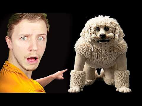 That is NOT my dog!!😱😱