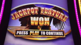 Nice Slot Wins in Las Vegas! Buffalo, Crazy Money Deluxe, Gremlins! screenshot 5
