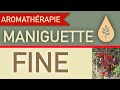 La maniguette fine en aromathrapie