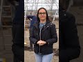 Un solar bun nu se alege pentru o vară