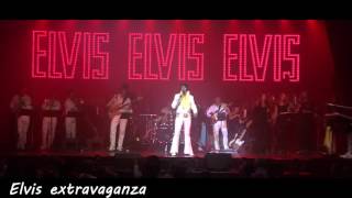 Elvis Extravaganza by Steve Ryckier