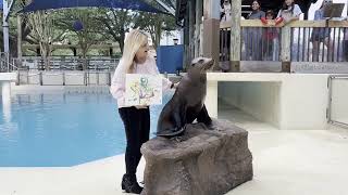 Painting With The Houston Zoo Sea Lions -  Houston PetTalk Aug 2022 by houstonpettalk 75 views 1 year ago 3 minutes, 31 seconds