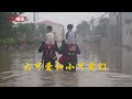 大可爱抱着小可爱 洪水中的温暖瞬间 大可爱抱着小可爱 洪水中的温暖瞬间