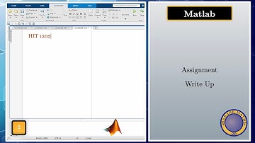 Matlab | Group Assignment Write up (2025)