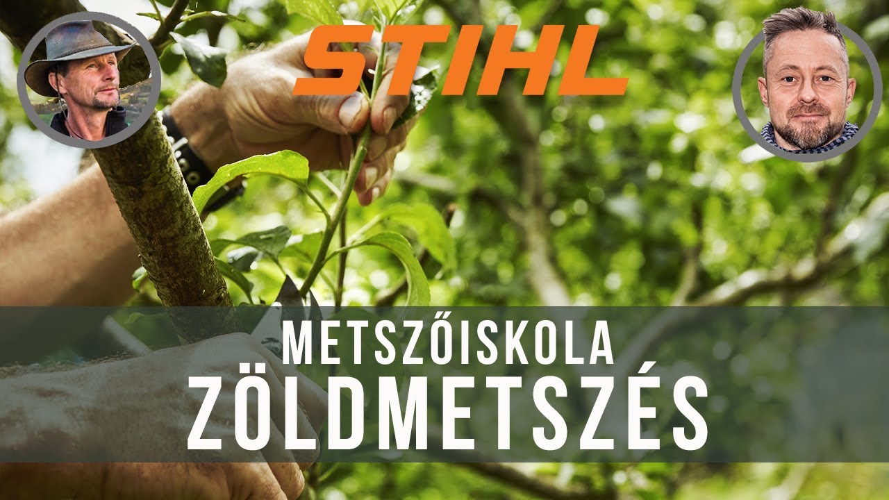 Egyre fontosabb a nyári metszés - mutatjuk hogyan kell | STIHL Metszőiskola