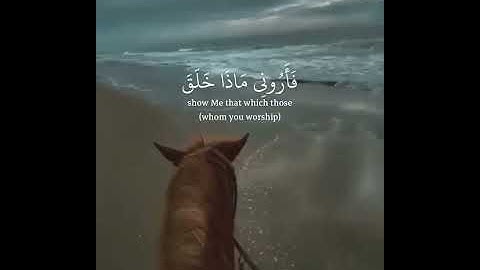 سور من القرآن الكريم | آيات من سورة لقمان ❤😌