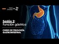 Fisiología de la función gástrica