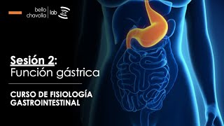 Fisiología de la función gástrica