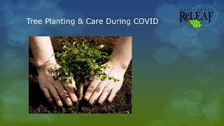Webinar: Tree Planting & Care During COVID