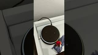 Echo Dot 3rd Gen Accessible Ring lights. #echodot #alexa #amazon #echodot3 #funny #amazonalexa