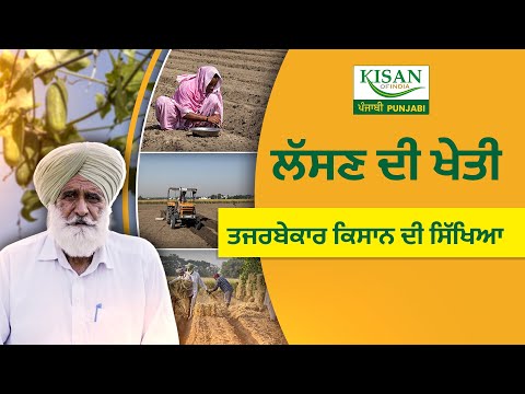 Garlic Farming ਲਈ Dalip Singh ਦੇ 30 ਸਾਲਾਂ ਦੇ ਤਜਰਬੇ ਤੋਂ ਸਿੱਖੋ