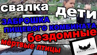 БОМЖИ, СВАЛКА, МЁРТВЫЕ ПТИЦЫ И ДЕТИ СОБИРАЮТ МЕТАЛЛ НА РАЗВАЛИНАХ ПИЩЕВОГО КОМБИНАТА Live in Russia