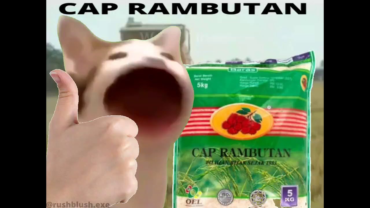 Beras cap rambutan 5kg